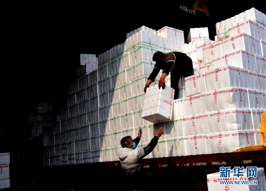 （聚焦疫情防控&middot;圖文互動(dòng)）（4）吃的東西充足，做點(diǎn)花樣菜吧！&mdash;&mdash;中部地區(qū)最大農(nóng)產(chǎn)品批發(fā)市場(chǎng)見聞 