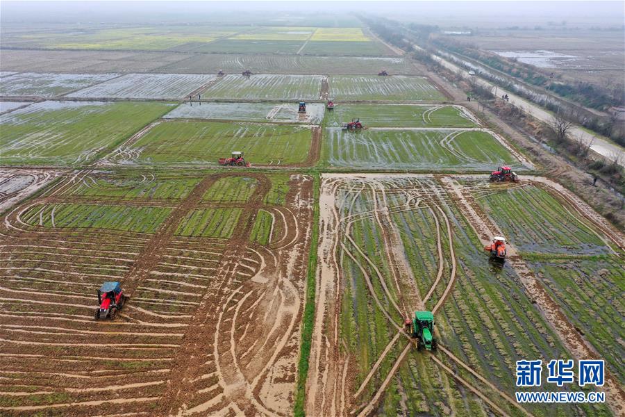 （抓好春耕備耕 穩(wěn)住農(nóng)業(yè)生產(chǎn)·圖文互動(dòng)）（2）智能農(nóng)機(jī)、“訂單”服務(wù)、“云端”種菜——來(lái)自江西的春耕“新事”
