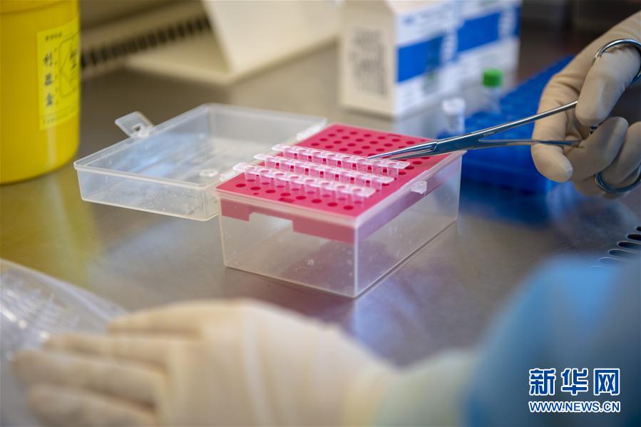 （一線抗疫群英譜&middot;圖文互動）（4）&ldquo;90后&rdquo;檢驗員張慧變：每個樣本都是一份沉甸甸的責(zé)任