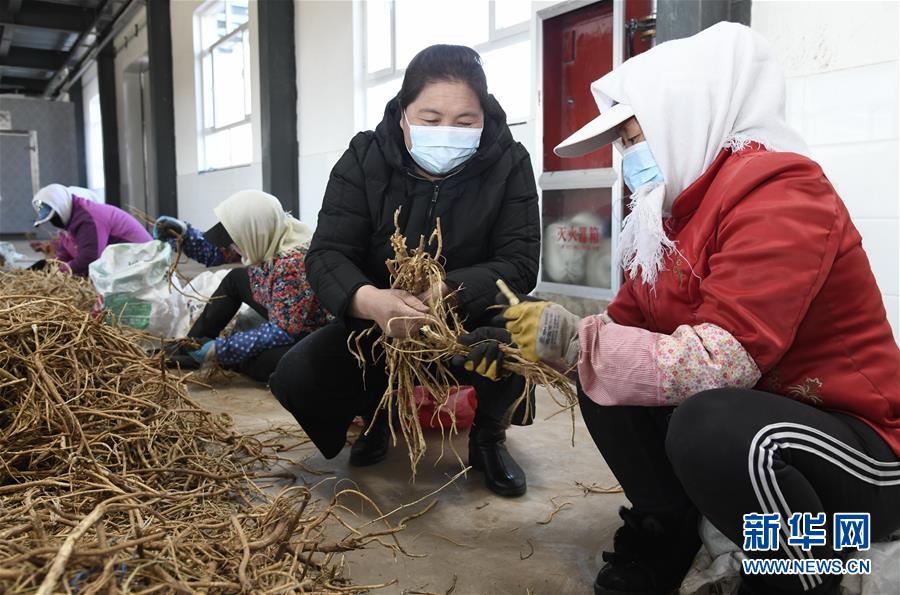 （新華全媒頭條·圖文互動）（2）特殊時期，他們這樣履職——全國人大代表這個春天在行動