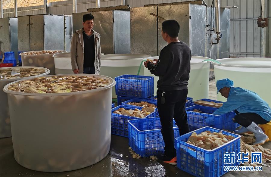（決戰(zhàn)決勝脫貧攻堅·圖文互動）掛牌督戰(zhàn)，一個都不能少——江西確保剩余9.6萬貧困人口全部脫貧