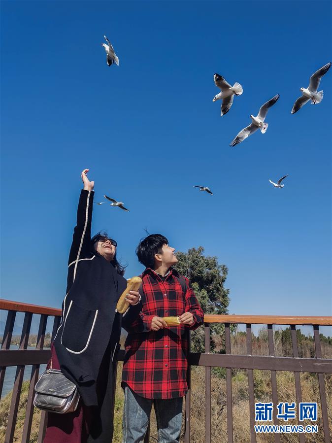（一線抗疫群英譜·圖文互動）（1）大學生志愿者譚藝西：在武漢，我和媽媽共戰(zhàn)“疫”