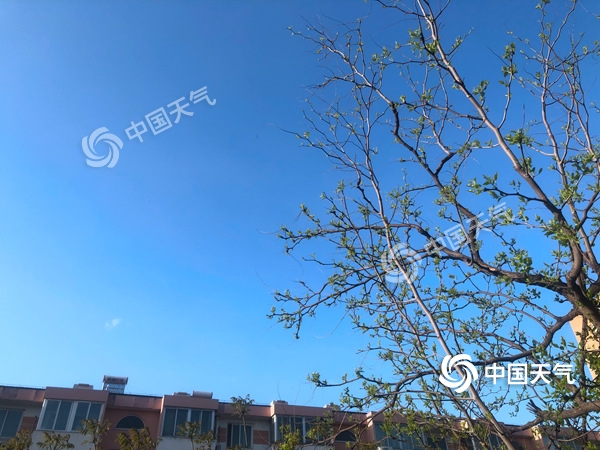 陣風(fēng)8級！北京遭遇雨后大降溫 北風(fēng)勁吹需添衣