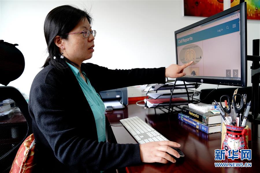 （圖文互動）（1）攻擊行為如何被大腦控制？科學(xué)家在小鼠大腦中發(fā)現(xiàn)&ldquo;調(diào)節(jié)開關(guān)&rdquo;