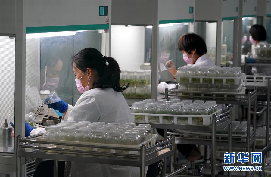 （來自一線的調(diào)查報(bào)告·圖文互動）（6）搶出一個身位謀發(fā)展——河南許昌經(jīng)濟(jì)復(fù)蘇見聞