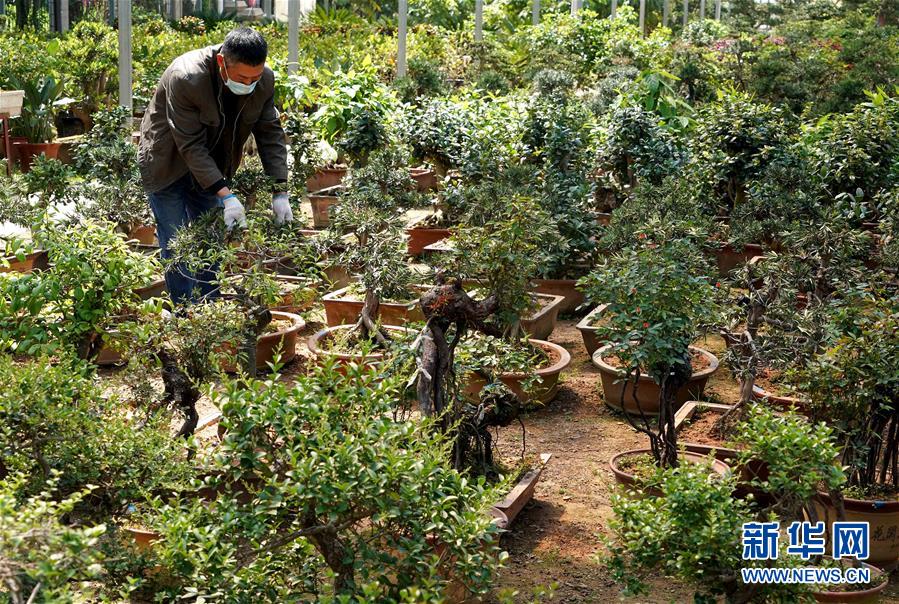 （來自一線的調(diào)查報(bào)告·圖文互動）（7）搶出一個身位謀發(fā)展——河南許昌經(jīng)濟(jì)復(fù)蘇見聞