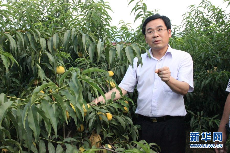 （圖文互動）（2）“為脫貧而來，為脫貧而去”——追記湖南炎陵縣委原書記黃詩燕 