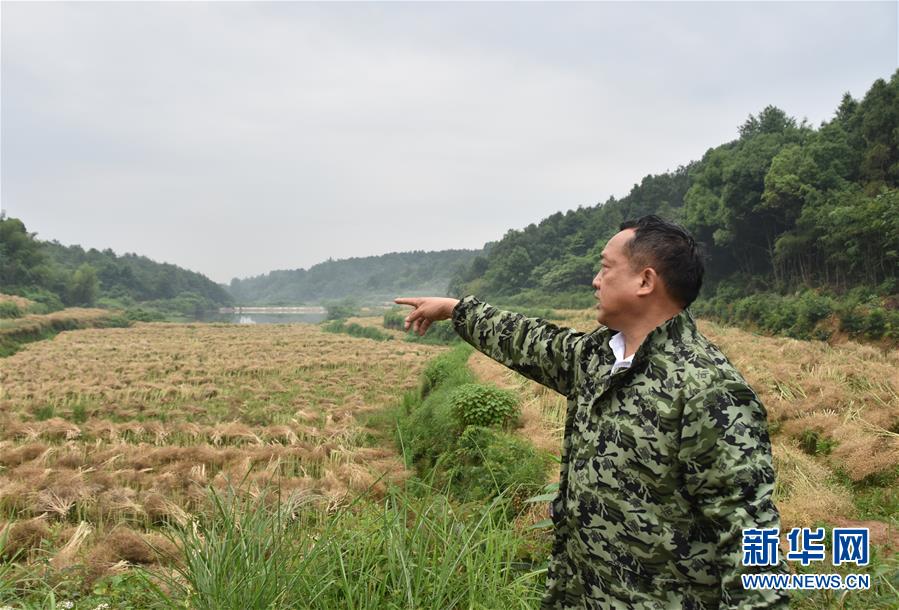 （代表委員履職·圖文互動(dòng)）（2）“我是農(nóng)民代表，始終關(guān)注農(nóng)村”——全國(guó)人大代表沈昌健的履職故事