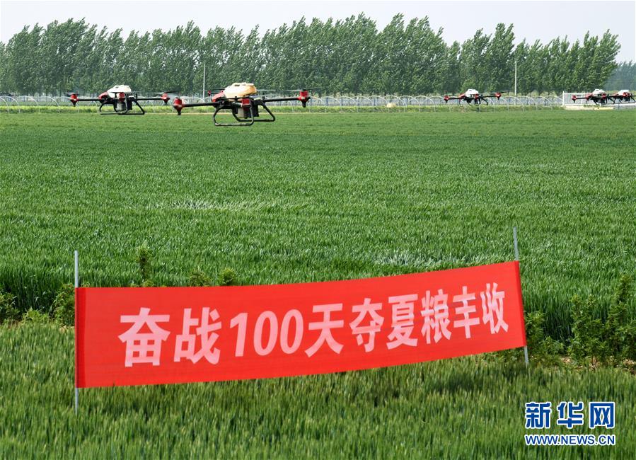 （在習近平新時代中國特色社會主義思想指引下——新時代新作為新篇章·習近平總書記關切事·圖文互動）（9）新農(nóng)事、新希望——夏收前田間新動態(tài)掃描