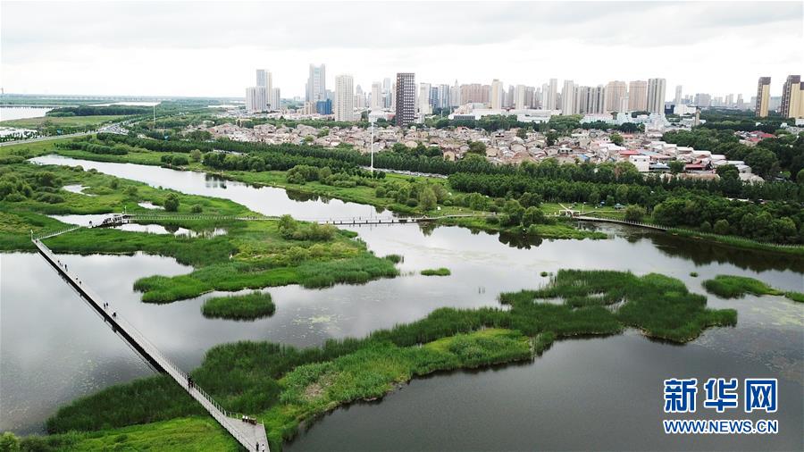 （走向我們的小康生活·圖文互動(dòng)）（2）水清、地綠、空氣新——最北省份黑龍江繪就生態(tài)治理新畫(huà)卷