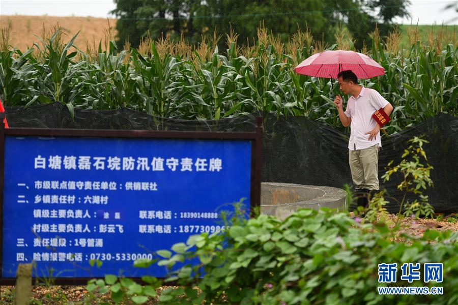 （防汛抗洪&middot;圖文互動）（1）&ldquo;險情不可怕，可怕的是不能及時發(fā)現(xiàn)險情&rdquo;&mdash;&mdash;洞庭湖巡堤查險現(xiàn)場直擊