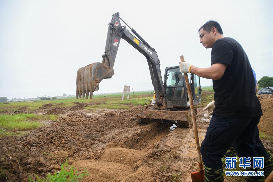 （防汛抗洪&middot;圖文互動）（3）&ldquo;險情不可怕，可怕的是不能及時發(fā)現(xiàn)險情&rdquo;&mdash;&mdash;洞庭湖巡堤查險現(xiàn)場直擊