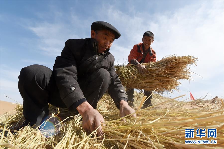 （在習(xí)近平新時(shí)代中國特色社會主義思想指引下——新時(shí)代新作為新篇章·習(xí)近平總書記關(guān)切事·圖文互動(dòng)）（5）綠色映底蘊(yùn)，山水見初心——生態(tài)優(yōu)先、綠色發(fā)展持續(xù)造福群眾美好生活