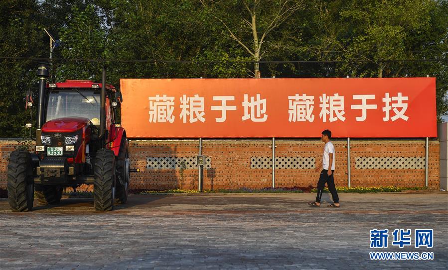 （在習近平新時代中國特色社會主義思想指引下——新時代新作為新篇章·習近平總書記關切事·圖文互動）（3）為黑土加“油”——“耕地中的大熊貓”，我們這樣保護