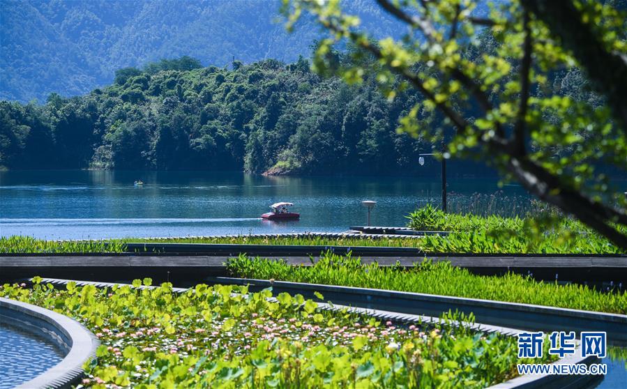 （新華全媒頭條&middot;圖文互動(dòng)）（8）生態(tài)文明之光照耀美麗中國(guó)&mdash;&mdash;寫在綠水青山就是金山銀山理念提出15周年之際