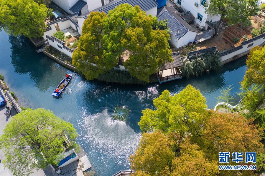 （新華全媒頭條&middot;圖文互動(dòng)）（12）生態(tài)文明之光照耀美麗中國(guó)&mdash;&mdash;寫在綠水青山就是金山銀山理念提出15周年之際