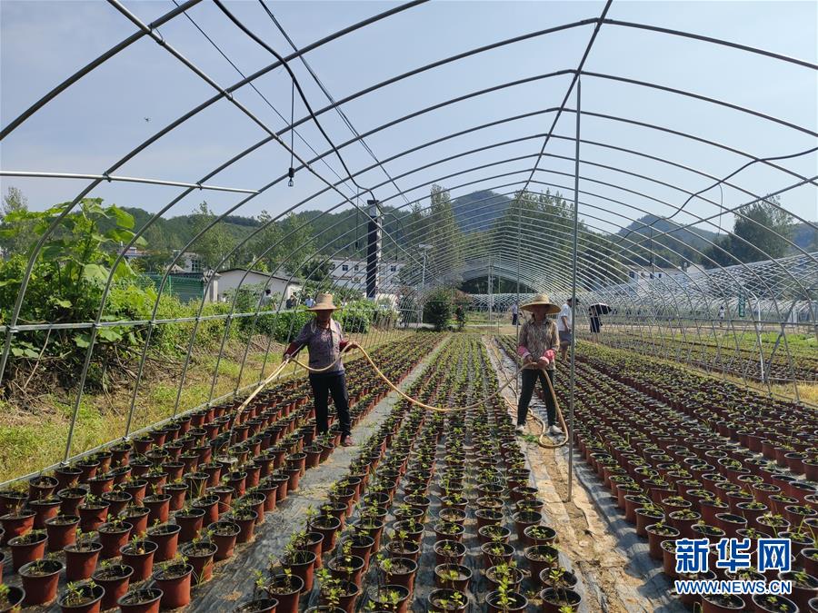 （決戰(zhàn)決勝脫貧攻堅(jiān)·圖文互動）（3）安居樂業(yè)并重，搬遷脫貧同步——湖北88萬搬遷群眾脫貧觀察 