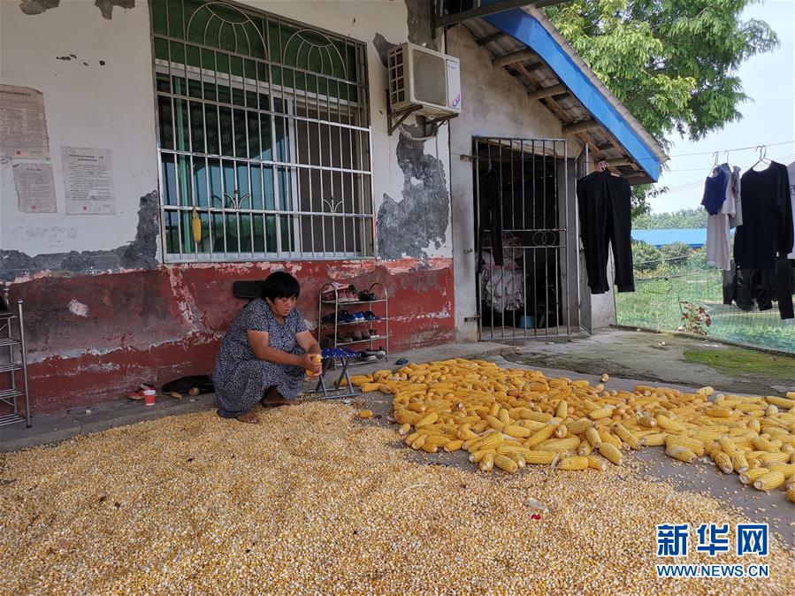（新華視點(diǎn)·聚焦餐桌外的浪費(fèi)·圖文互動(dòng)）（3）農(nóng)戶儲(chǔ)糧損失達(dá)8%！設(shè)施普遍簡(jiǎn)陋，蟲害霉變堪憂