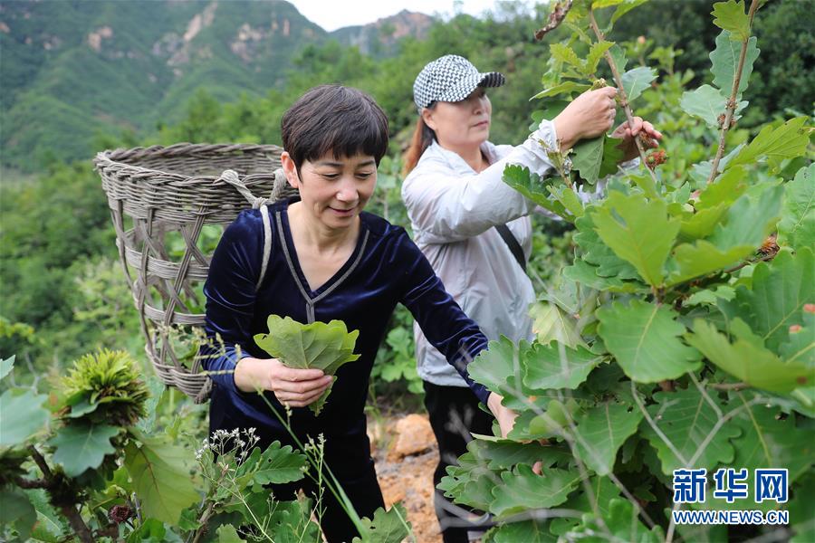 （新華全媒頭條·走向我們的小康生活·圖文互動(dòng)）（7）長(zhǎng)城腳下，小康村串成“珍珠鏈”