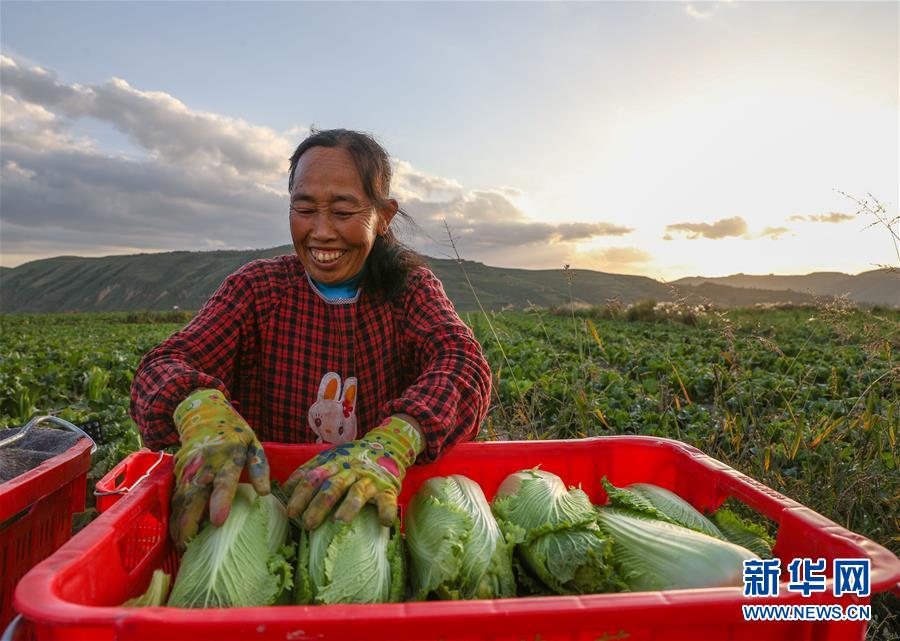 （新華全媒頭條·決戰(zhàn)決勝脫貧攻堅·督戰(zhàn)未摘帽貧困縣·圖文互動）（1）不獲全勝，決不收兵——全國52個掛牌督戰(zhàn)貧困縣脫貧攻堅紀實