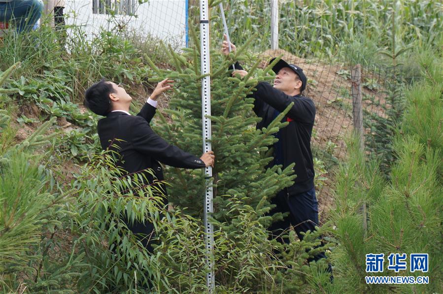 （決戰(zhàn)決勝脫貧攻堅·圖文互動）（2）甘肅定西黃土高坡上，有片“福州林”