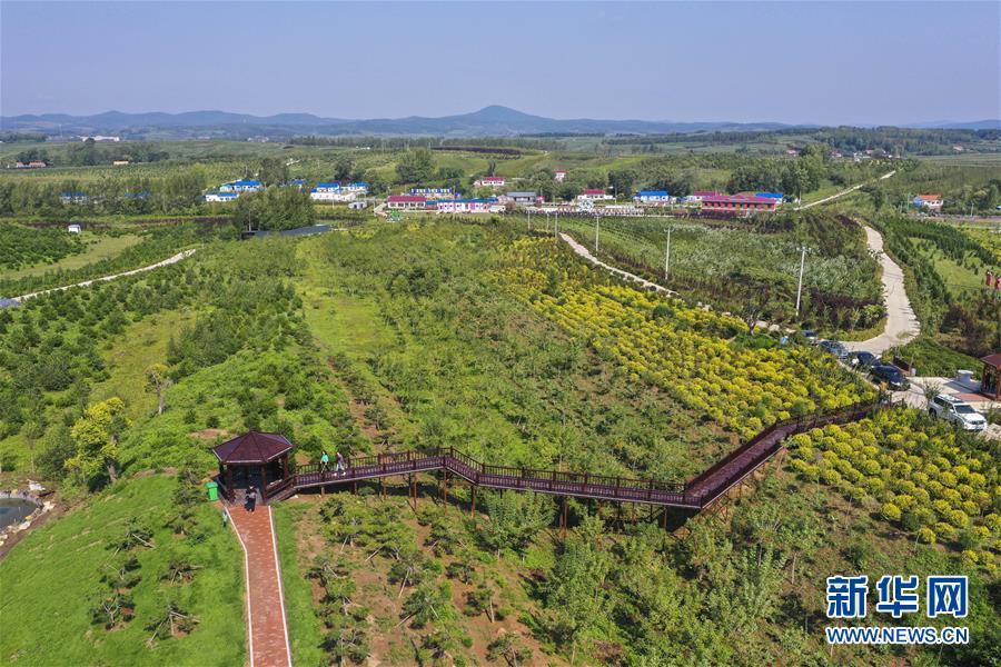 （新華全媒頭條·走向我們的小康生活·圖文互動(dòng)）（16）黑土地上是我家——在吉林，一瞥中國(guó)東北鄉(xiāng)村美麗未來