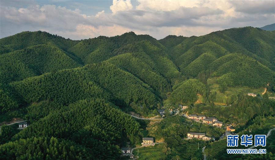 （新華全媒頭條·走向我們的小康生活·圖文互動(dòng)）（2）神山村“神奇”何在？——井岡山深處覓答案