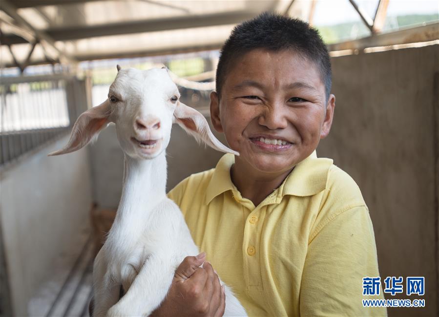 （新華全媒頭條·走向我們的小康生活·圖文互動）（5）特殊之年，荊楚大地書寫不平凡的答卷
