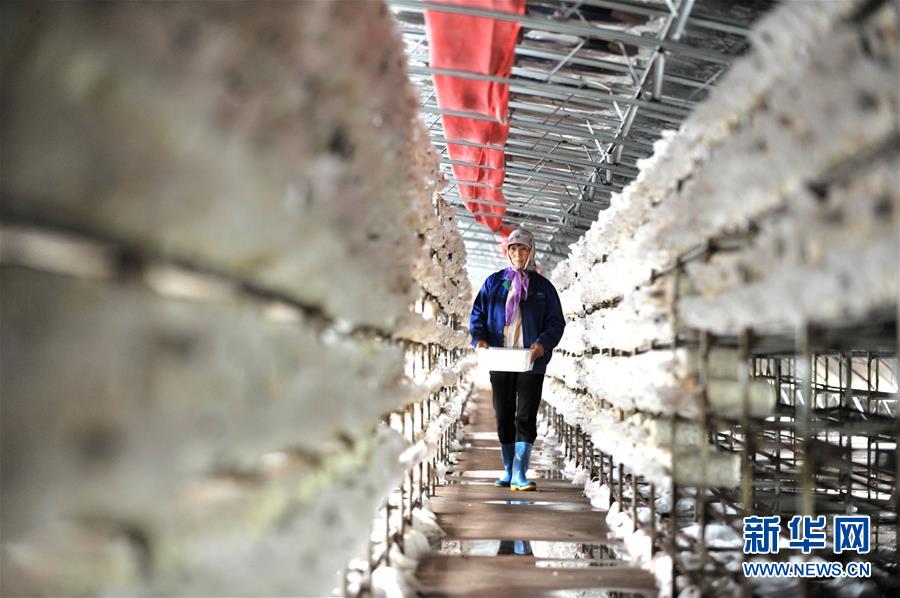 （習(xí)近平的小康故事&middot;圖文互動(dòng)）（6）&ldquo;我很期盼的一件事，就是讓鄉(xiāng)親們飽餐一頓肉&rdquo;&mdash;&mdash;習(xí)近平和脫貧攻堅(jiān)的故事