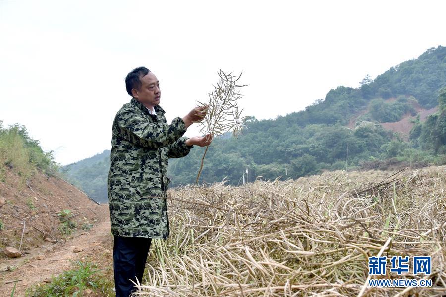 （代表委員履職·圖文互動(dòng)）（1）“我是農(nóng)民代表，始終關(guān)注農(nóng)村”——全國(guó)人大代表沈昌健的履職故事
