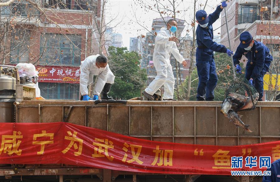 （新華全媒頭條·圖文互動(dòng)）（12）從人民中汲取磅礴力量——習(xí)近平總書記同出席2020年全國(guó)兩會(huì)人大代表、政協(xié)委員共商國(guó)是紀(jì)實(shí)