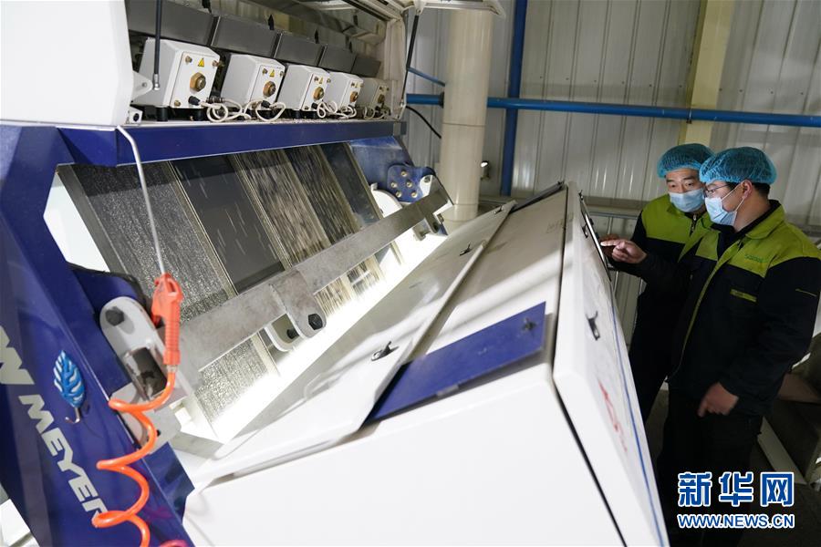 （在習(xí)近平新時(shí)代中國(guó)特色社會(huì)主義思想指引下&mdash;&mdash;新時(shí)代新作為新篇章&middot;習(xí)近平總書(shū)記關(guān)切事&middot;圖文互動(dòng)）（6）激發(fā)每個(gè)經(jīng)濟(jì)&ldquo;細(xì)胞&rdquo;的活力&mdash;&mdash;千方百計(jì)把市場(chǎng)主體保護(hù)好