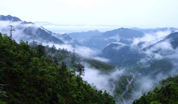 廣東乳源、廣東乳陽林場、云南華寧葫蘆口電站