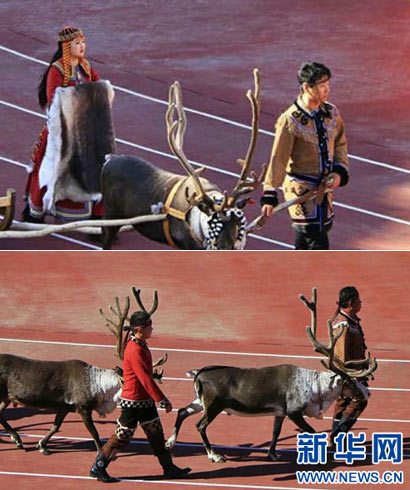 帶著馴鹿參加運(yùn)動(dòng)會是怎樣的體驗(yàn)