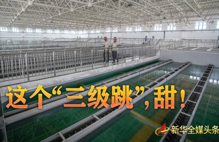 這個(gè)&ldquo;三級(jí)跳&rdquo;，甜！