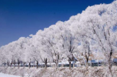 全國(guó)初雪時(shí)間表出爐 看看你離初雪還有多遠(yuǎn)？