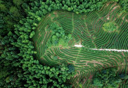 福建龍巖：高效用地，提升生態(tài)環(huán)境水平