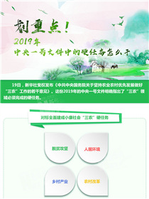 劃重點！2019年中央一號文件中的硬任務(wù)怎么干