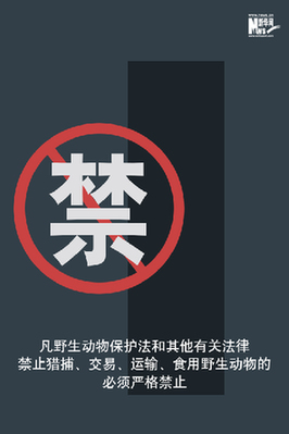 向非法野生動(dòng)物交易、濫食野生動(dòng)物陋習(xí)亮劍