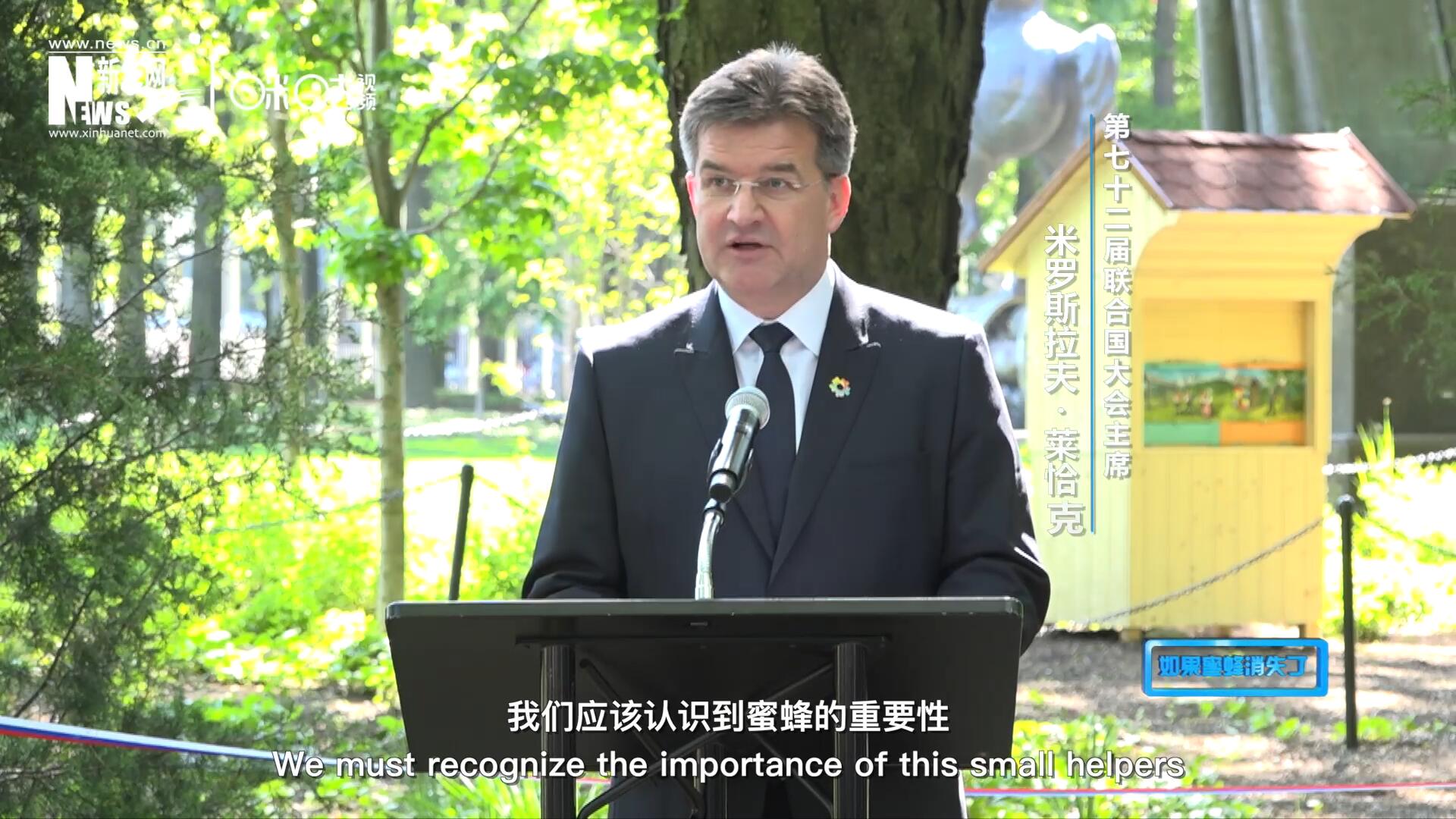 我們應該認識到蜜蜂的重要性，所以我們用“世界蜜蜂日”提高大家保護蜜蜂的意識，并且用實際行動去保護蜜蜂