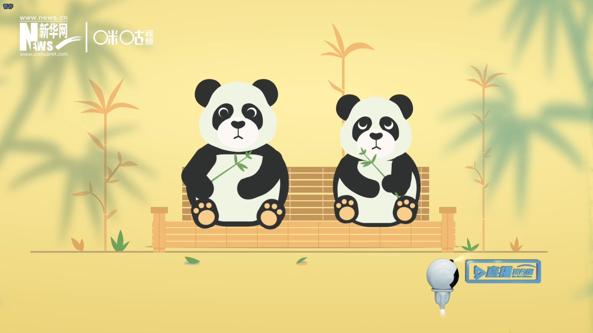 “哥哥你看，又有人來(lái)看我們了。”“有什么奇怪的，我們可是聯(lián)合國(guó)‘最萌’的大使?。?rdquo;。