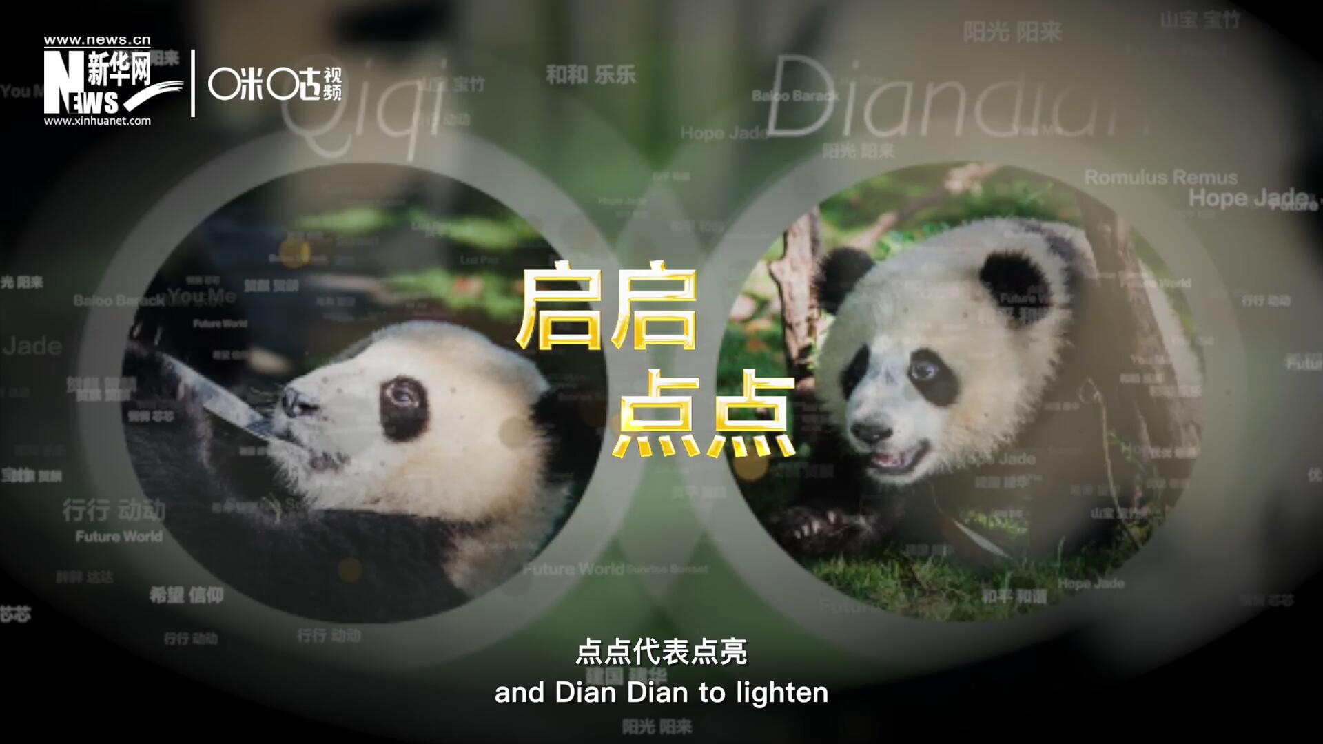 啟啟代表“啟發(fā)”，點(diǎn)點(diǎn)代表“點(diǎn)亮”，象征著2030年可持續(xù)發(fā)展議程 的“起點(diǎn)”，也象征著全球可持續(xù)發(fā)展路徑的新起點(diǎn)。
