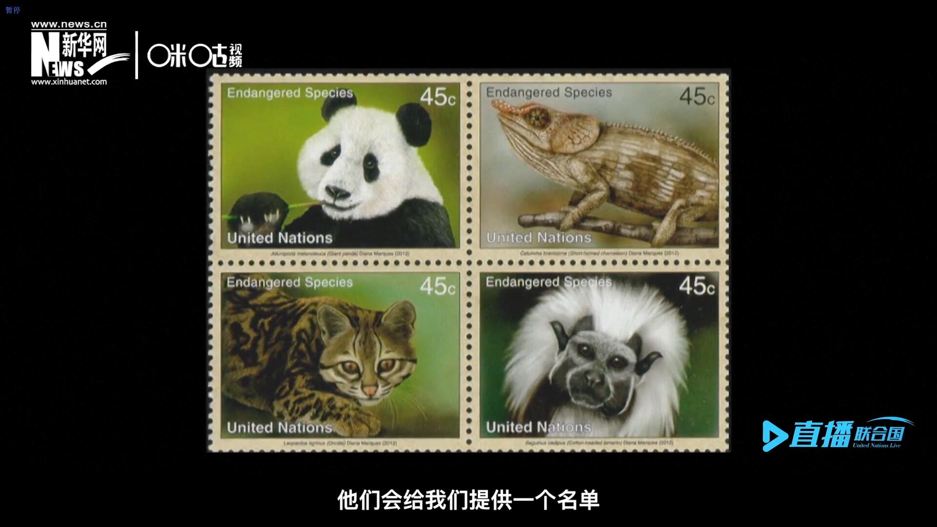 CITES（瀕危野生動植物種國際貿(mào)易公約）會給聯(lián)合國郵政設計師提供一個名單，雙方共同合作在附錄中找到名單中應該受到關(guān)注的動物。