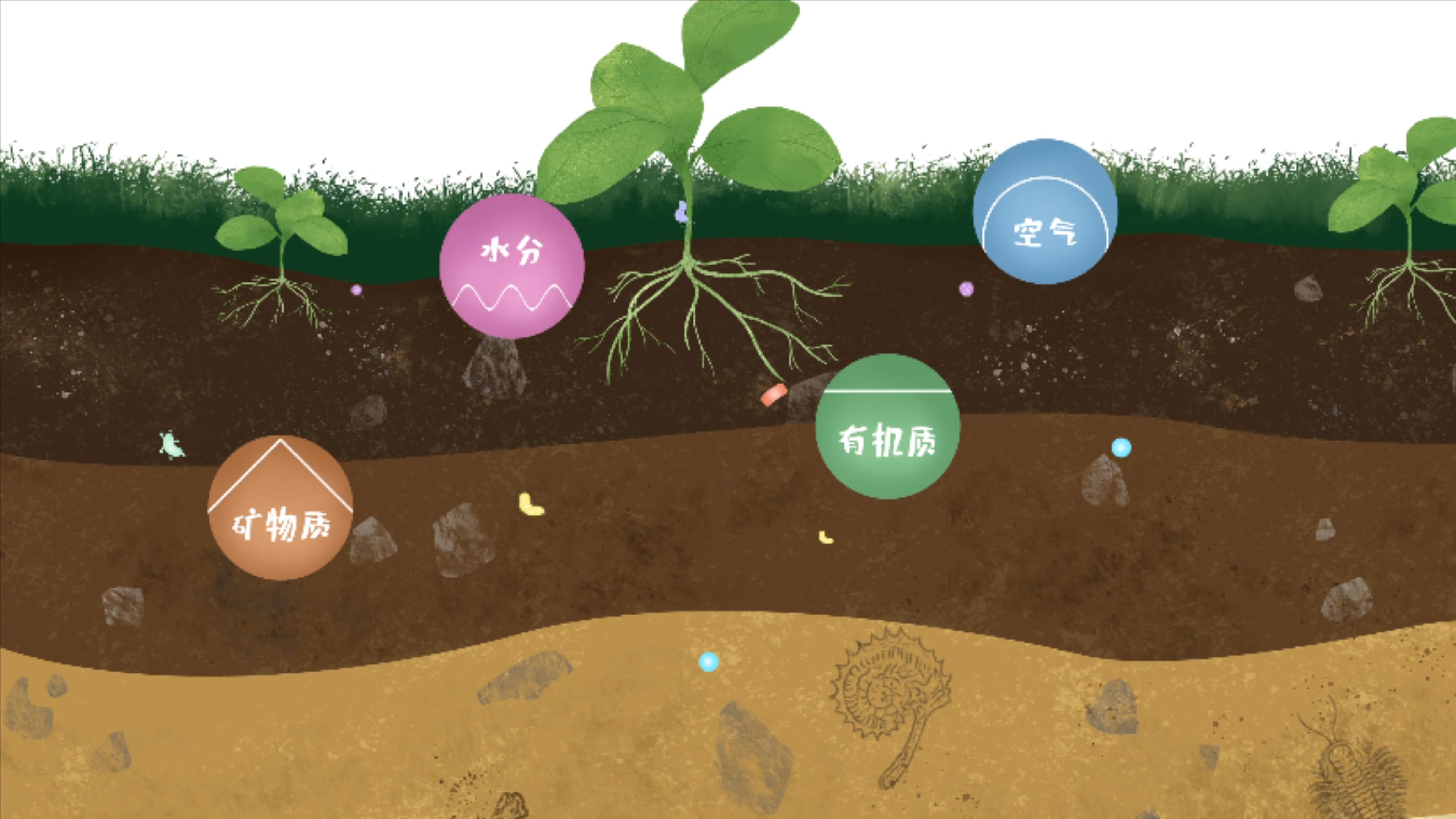 土壤由礦物質(zhì)、有機(jī)質(zhì)、水分、空氣及包括微生物在內(nèi)的生物體等組成