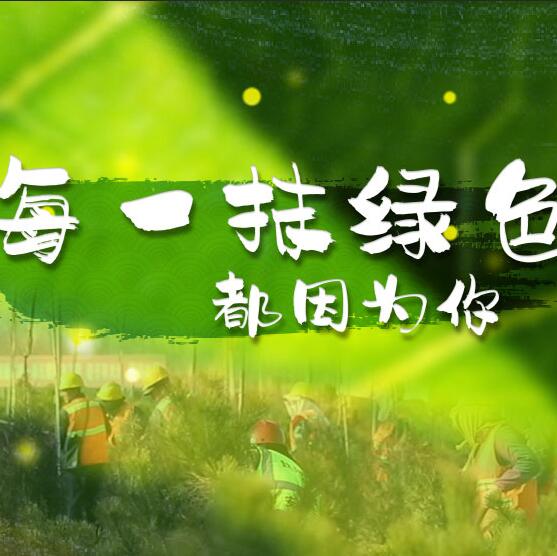 千年秀林，每一抹綠色都因為你
