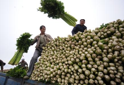 劉永富：發(fā)展產(chǎn)業(yè)脫貧仍是精準(zhǔn)扶貧、精準(zhǔn)脫貧主攻方向