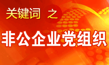 王京清：非公企業(yè)建立黨組織服務(wù)企業(yè)發(fā)展、服務(wù)員工
