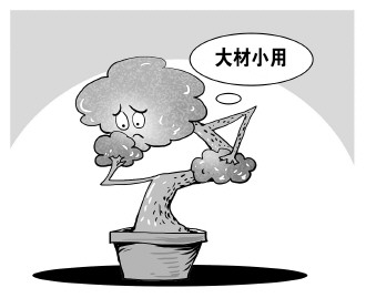 自認“大材小用”，不如腳踏實地