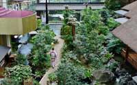 震撼！日本最豪華的廁所（組圖）