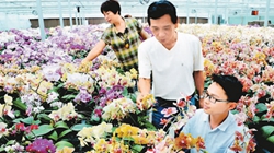 臺(tái)商眼中的改革開放：風(fēng)景這邊獨(dú)好 要去，要去，要去！
